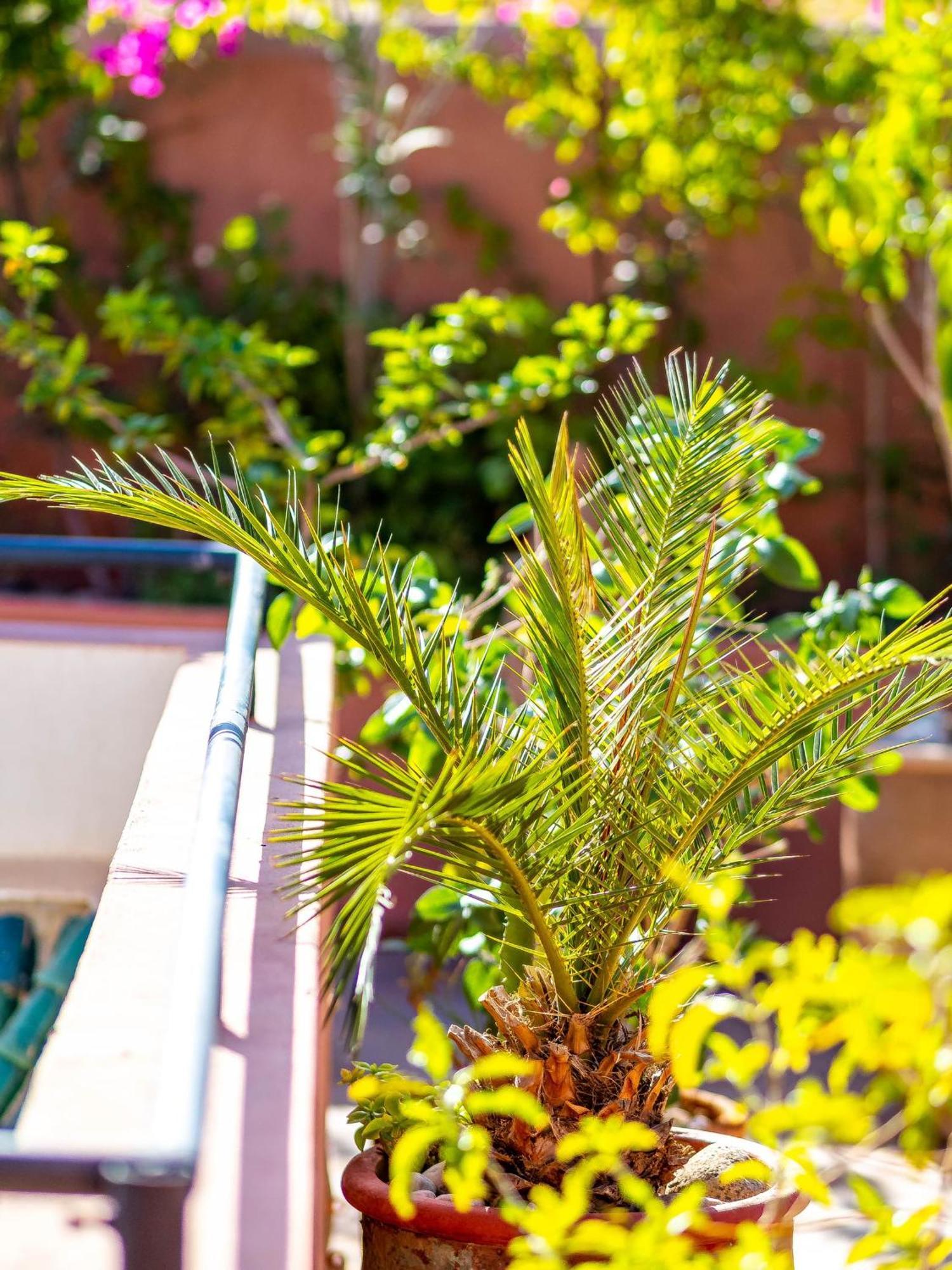 Riad L'Orange Bleue Marrakesh Ngoại thất bức ảnh